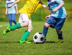 朱彦西或将,告别,赛场,易币付官网下载,易币付app官网下载,易币付电脑版