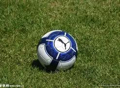 申京,初入联盟以,约基奇为楷,易币付官网下载,易币付app官网下载,易币付电脑版