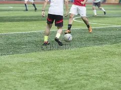 双色球秘籍,期矩阵神预,精准,易币付官网下载,易币付app官网下载,易币付电脑版