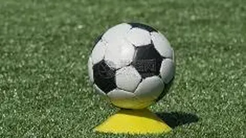 明星姓名汇编（千位男性明星名录）