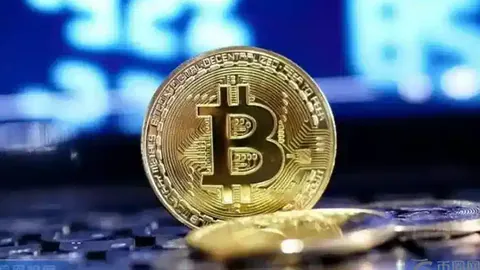 “Circle鼎力支持，联合国携手数字化革新，加速跨境难民援助进程——币币情独家报道”